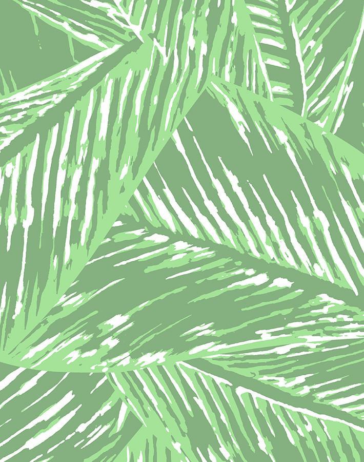 best-fronds-green
