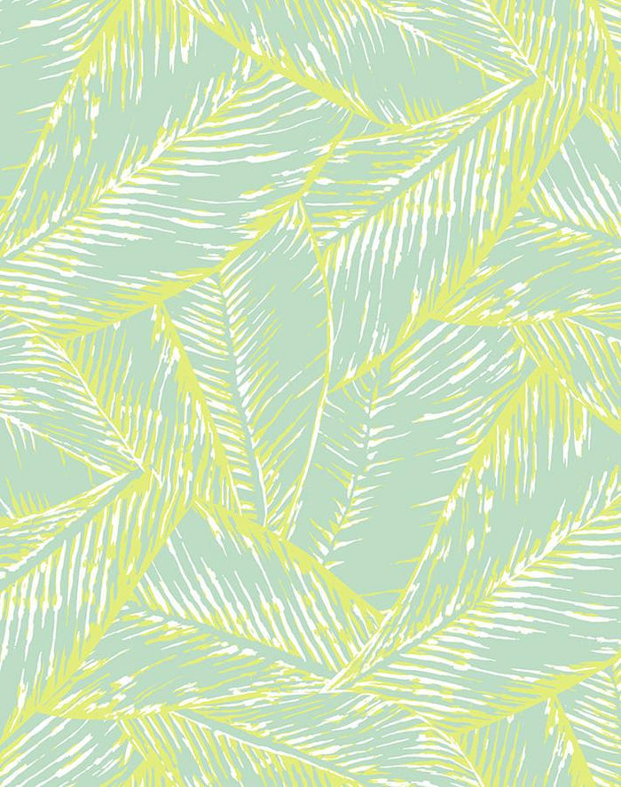 'Best Fronds' Wallpaper by Wallshoppe - Keylime