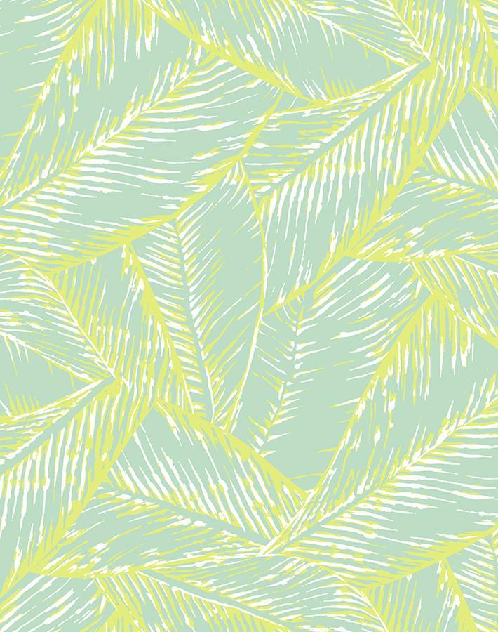 best-fronds-keylime