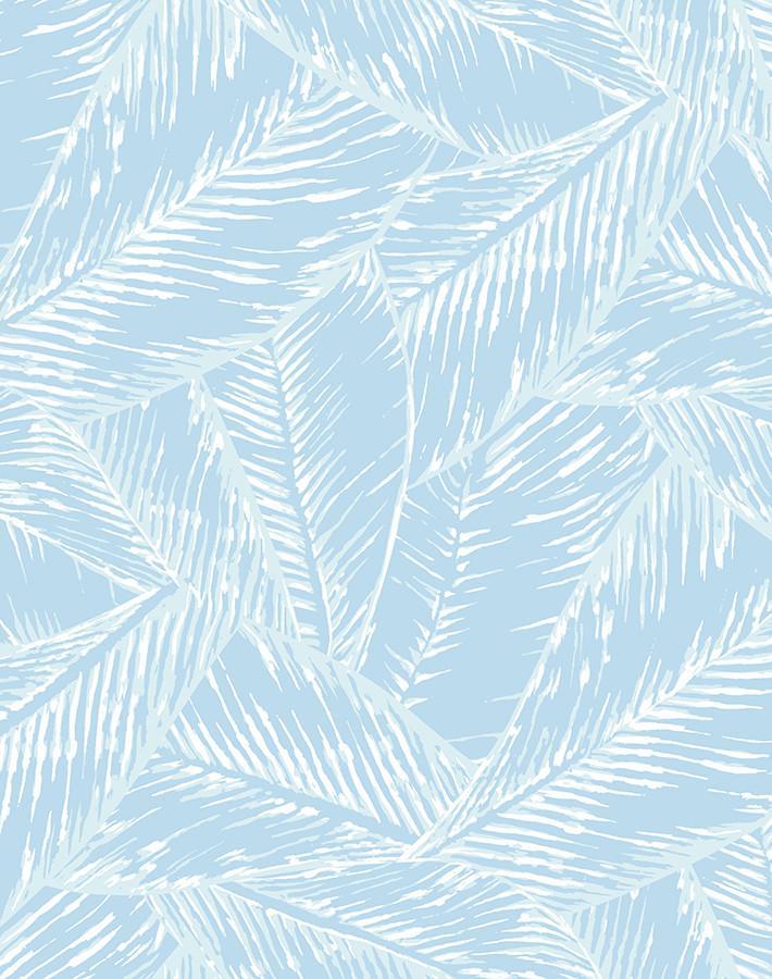best-fronds-sky