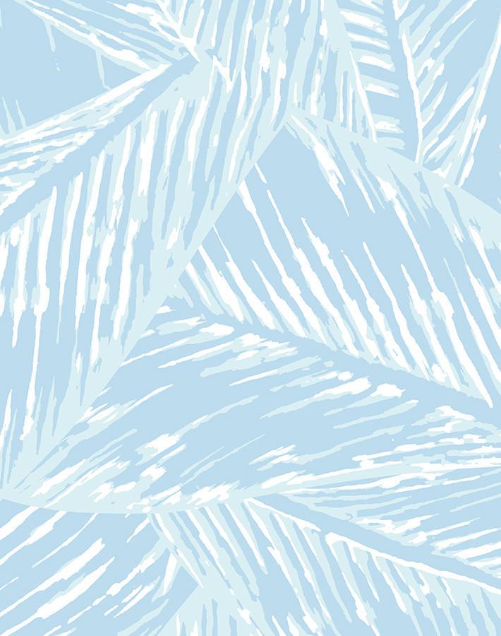 best-fronds-sky