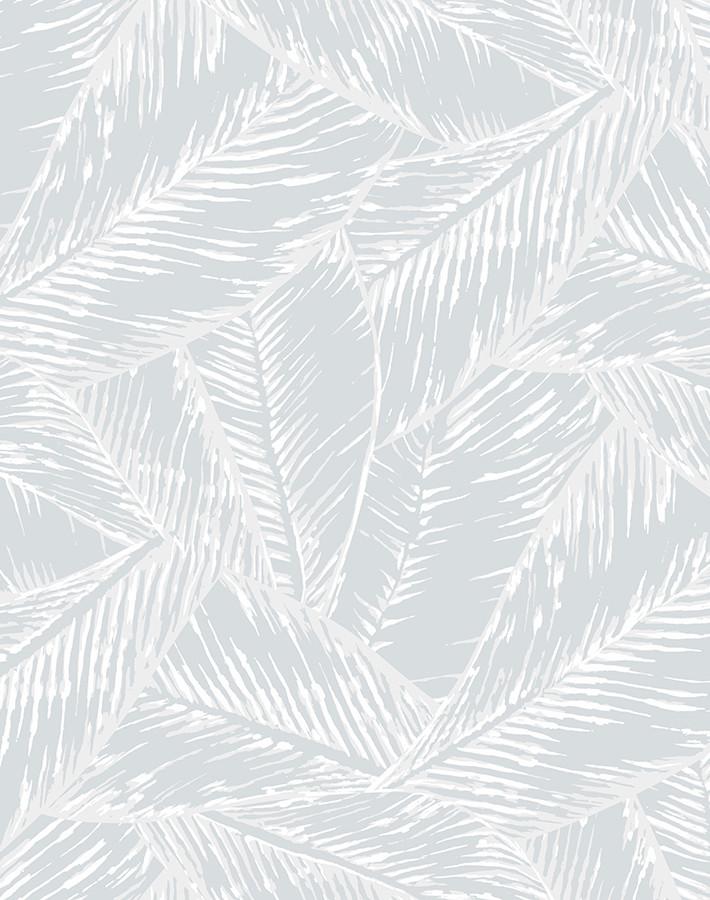 best-fronds-storm