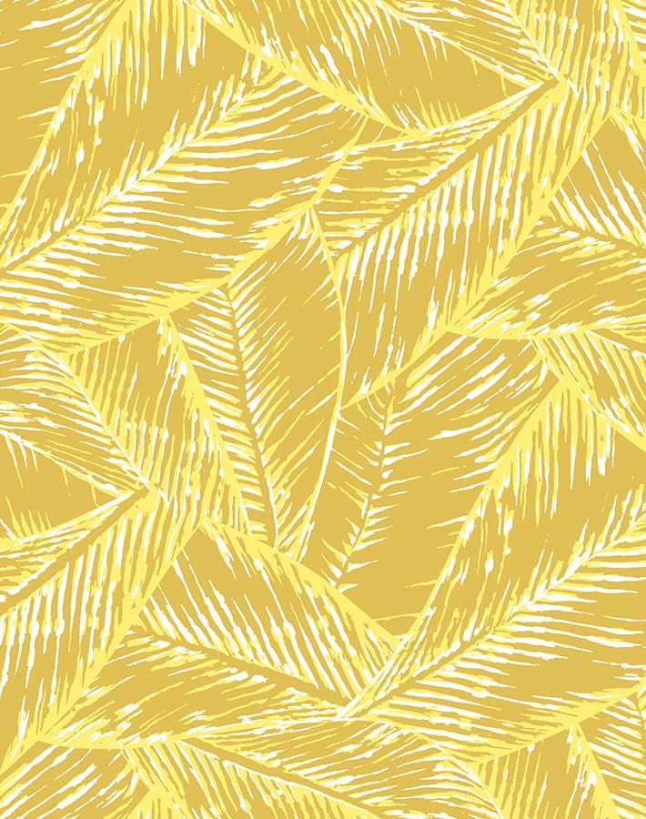 best-fronds-yellow