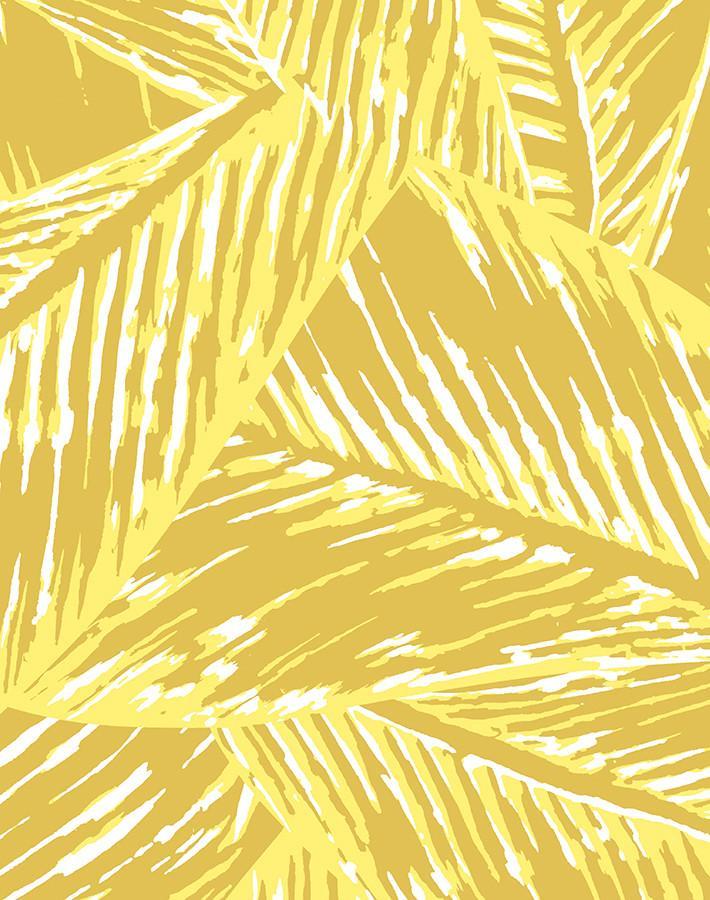 best-fronds-yellow