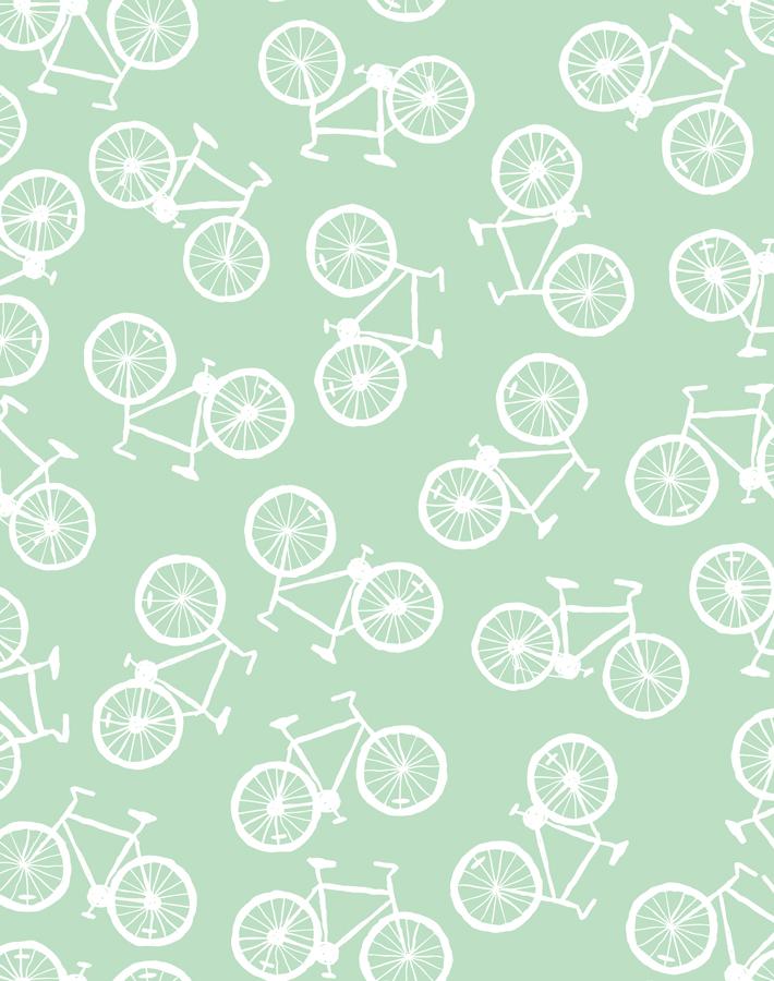 bicycles-aventurine