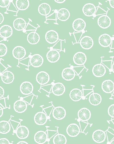 bicycles aventurine
