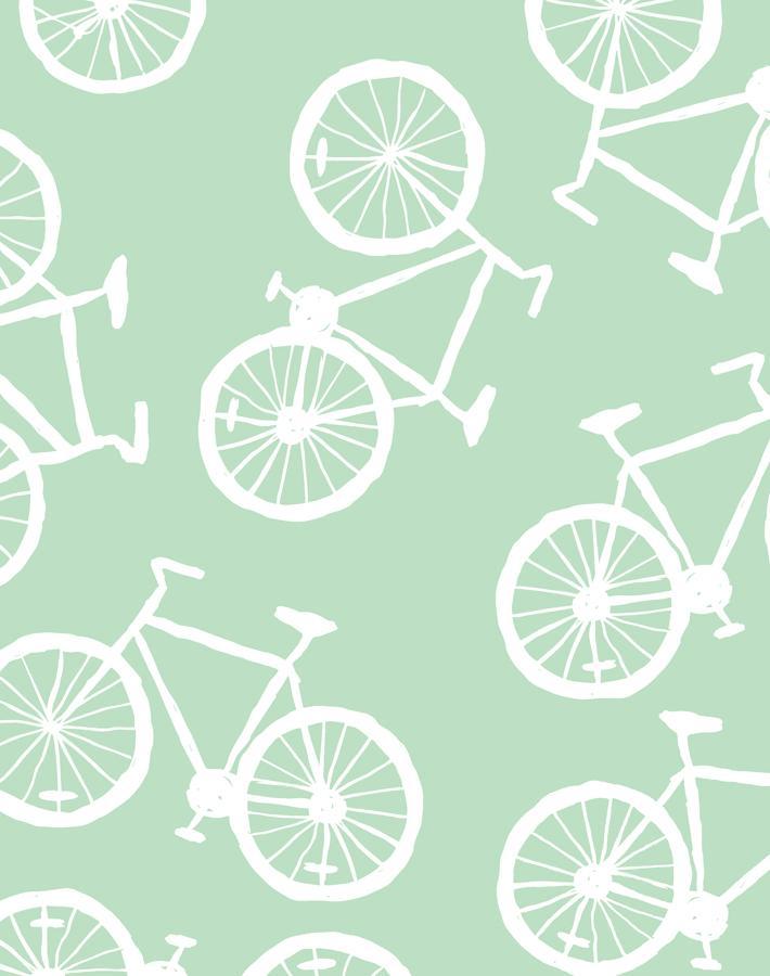 bicycles-aventurine