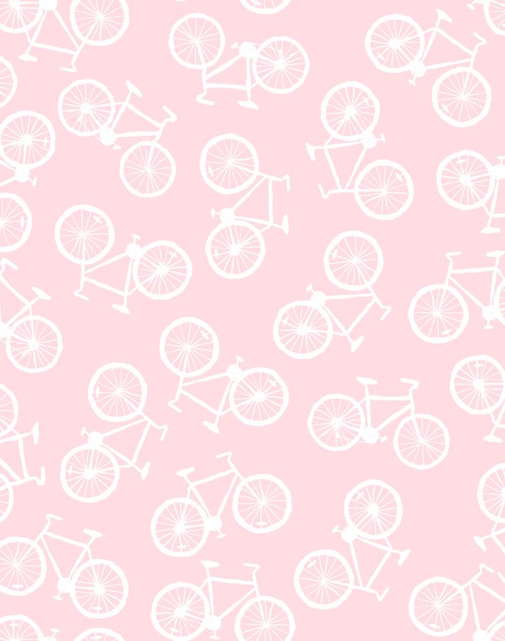 bicycles ballet slipper
