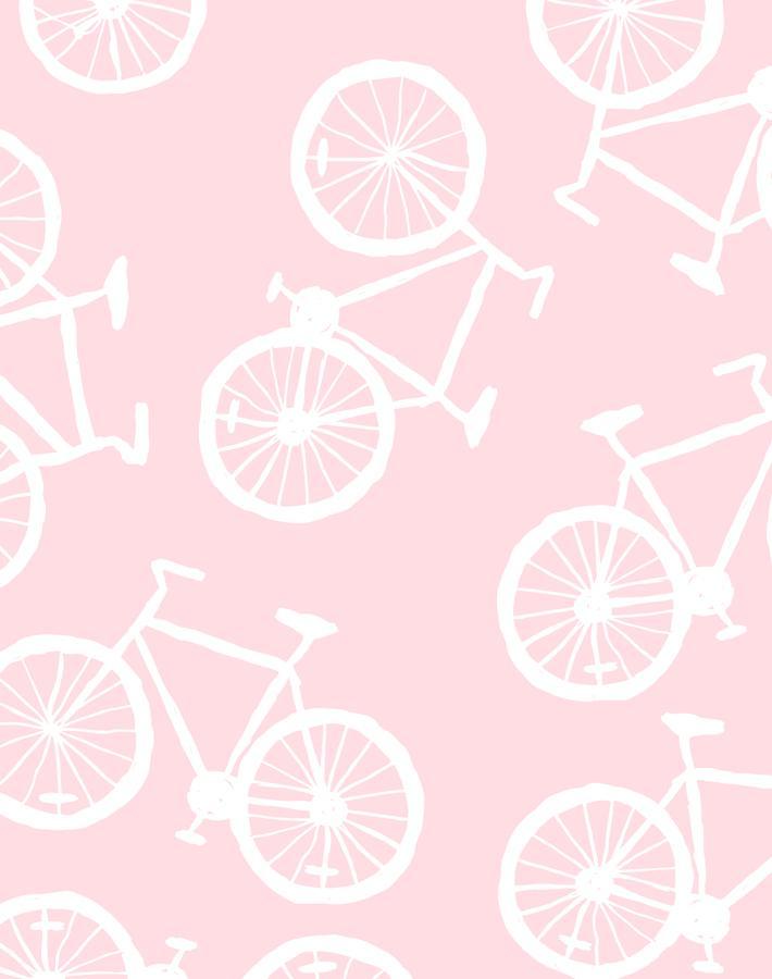 bicycles ballet slipper