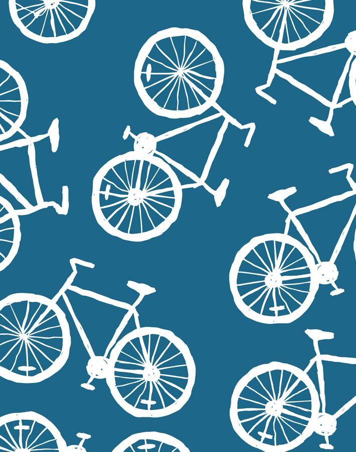 bicycles-cadet-blue