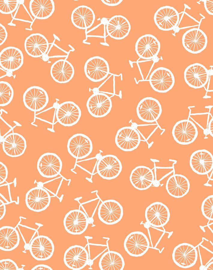 bicycles creamsicle