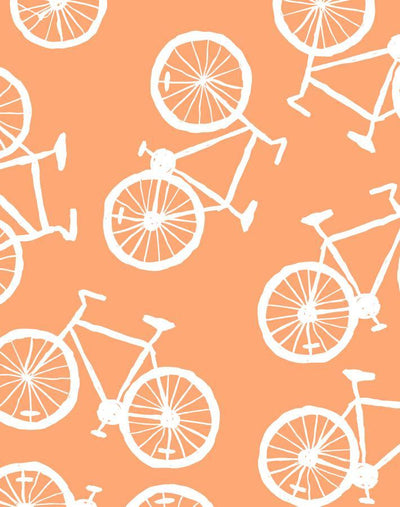 bicycles creamsicle