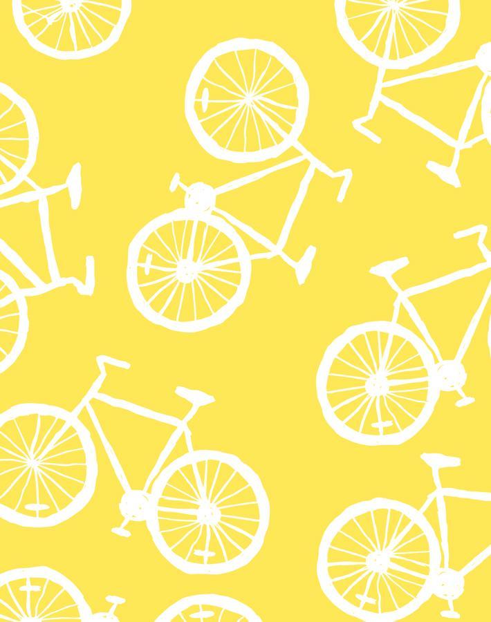 bicycles daffodil