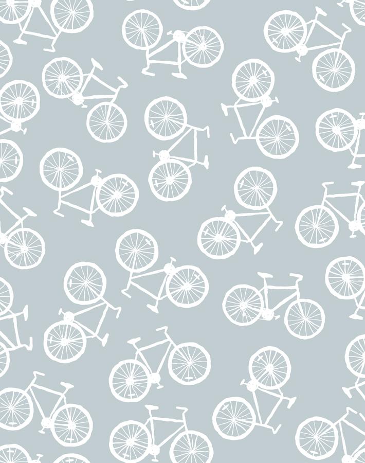bicycles elephant