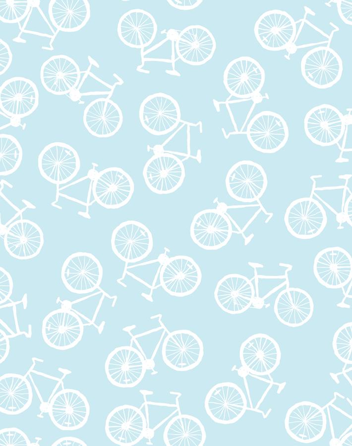bicycles sky