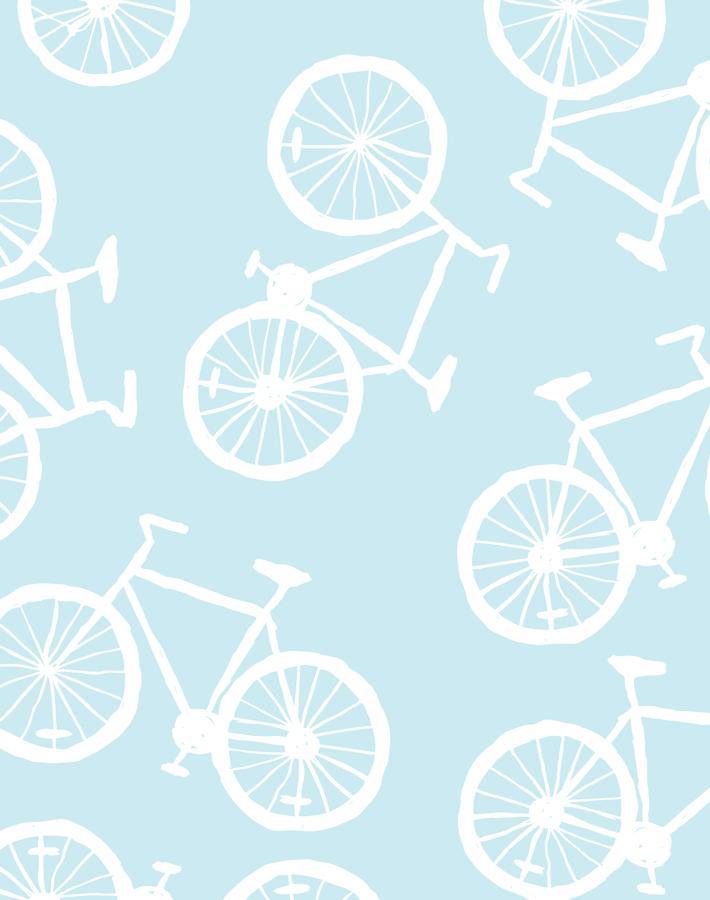 bicycles sky