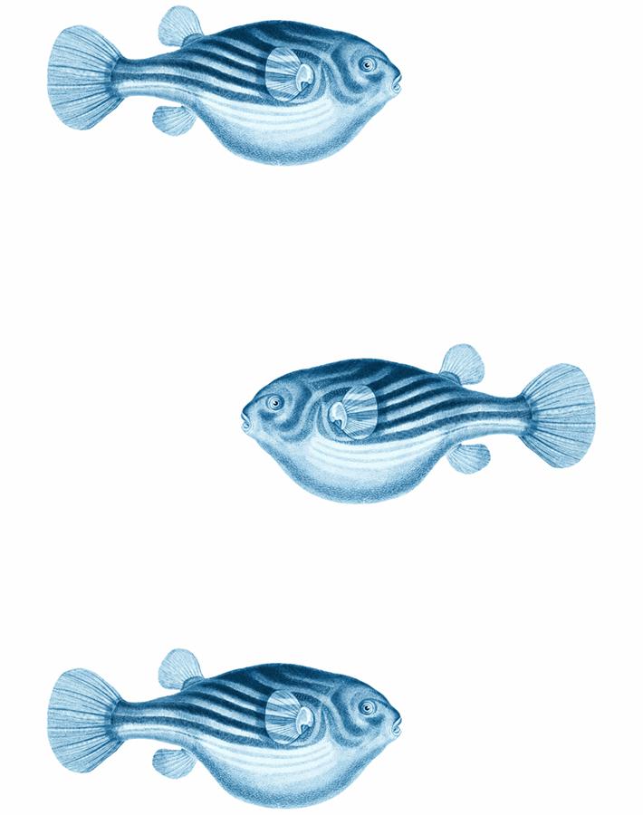 'Blowfish' Wallpaper by Wallshoppe - Blue