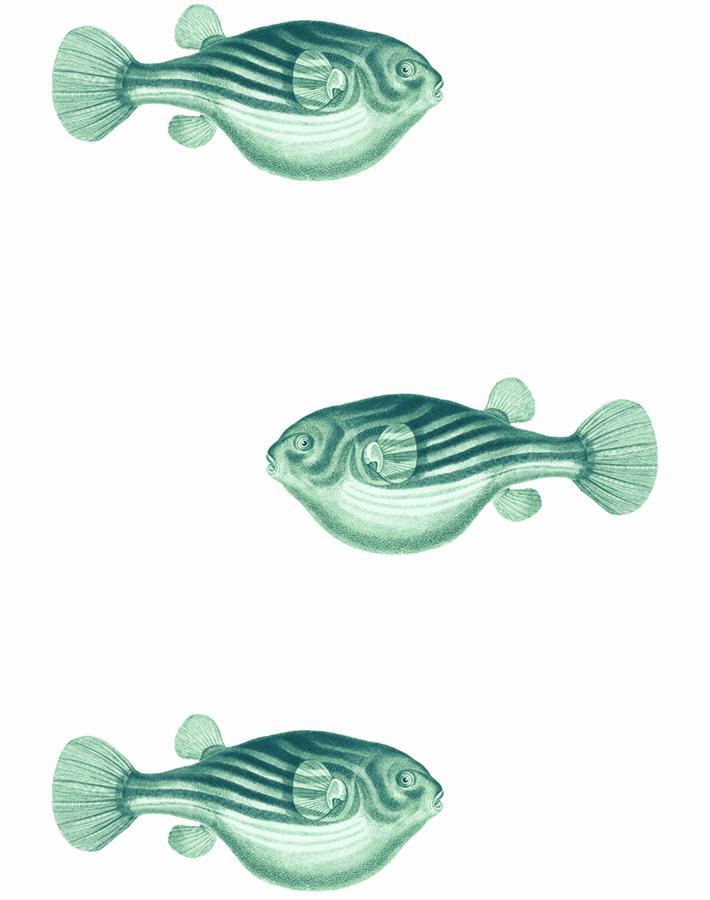 'Blowfish' Wallpaper by Wallshoppe - Green