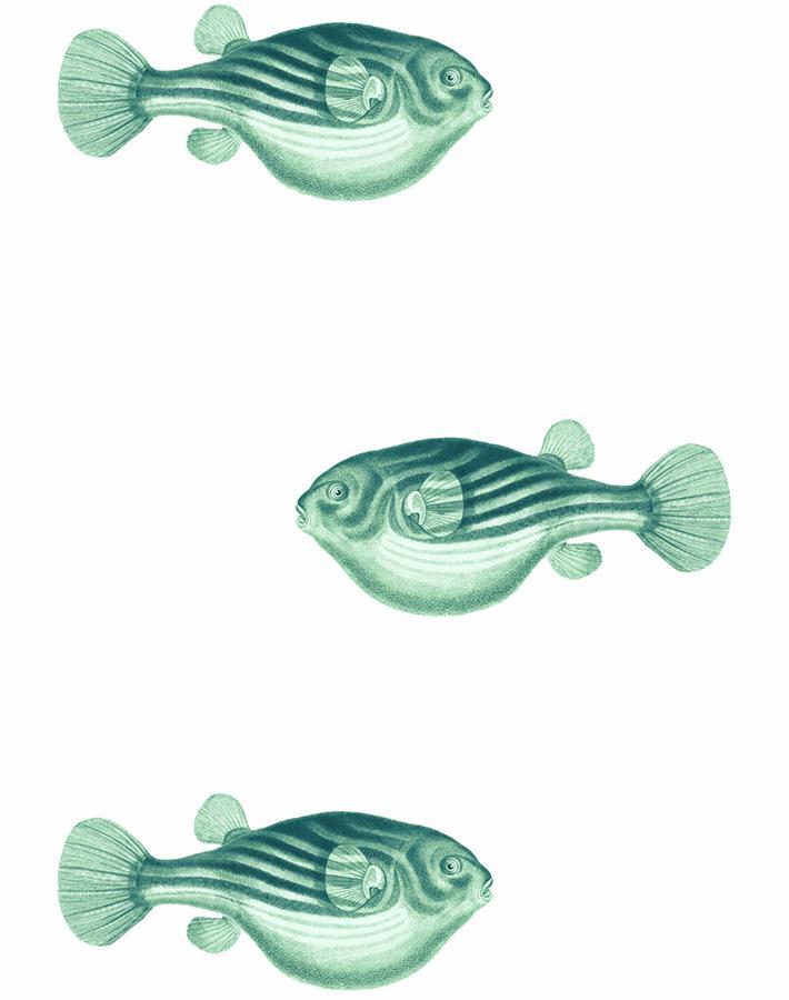 Blowfish Wallpaper by Wallshoppe Green