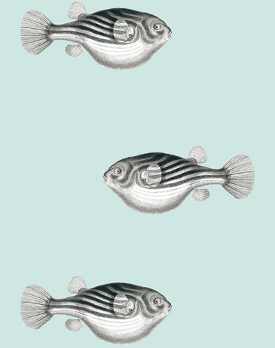 'Blowfish' Wallpaper by Wallshoppe - Seafoam