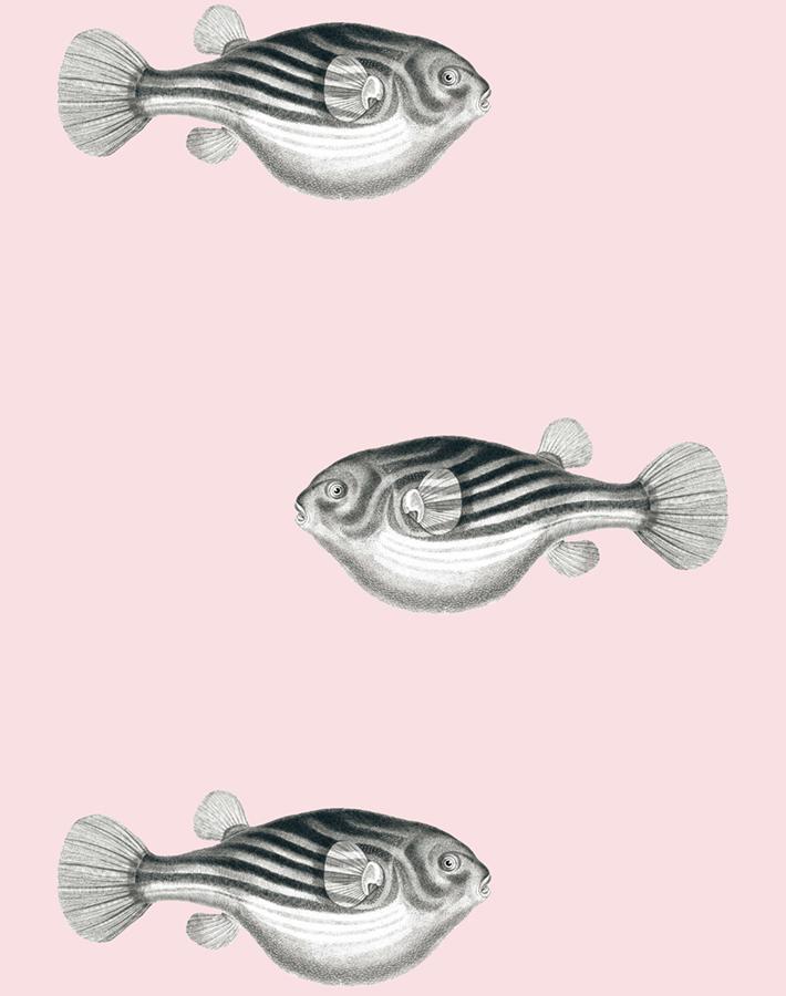 'Blowfish' Wallpaper by Wallshoppe - Shell