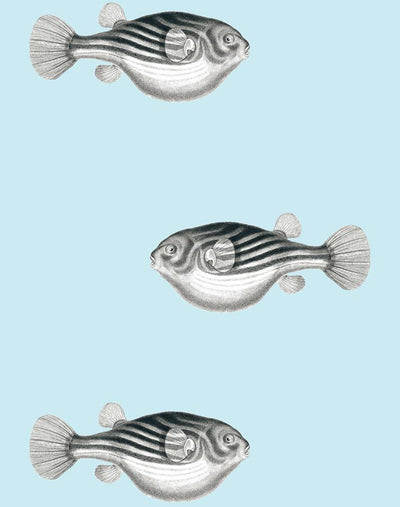 blowfish sky