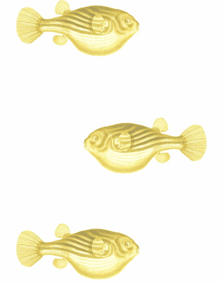 'Blowfish' Wallpaper by Wallshoppe - Yellow