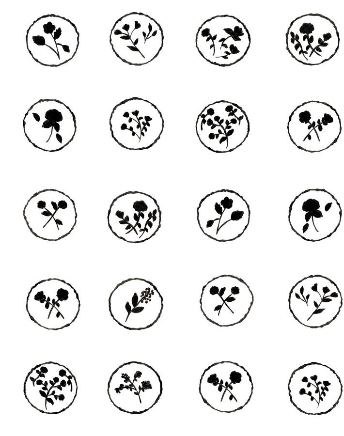 bonbon-floral-black-white-wallpaper-by-carly-beck