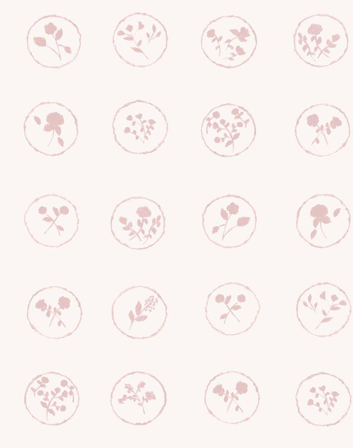 bonbon-floral-blush-wallpaper-by-carly-beck