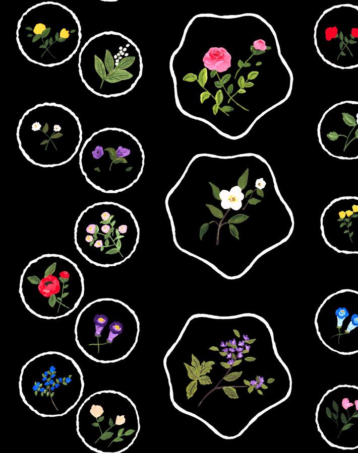 bouvier-s-botanical-black-wallpaper-by-carly-beck