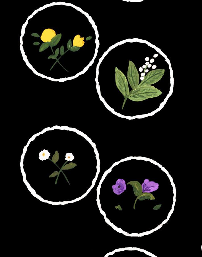 bouvier-s-botanical-black-wallpaper-by-carly-beck