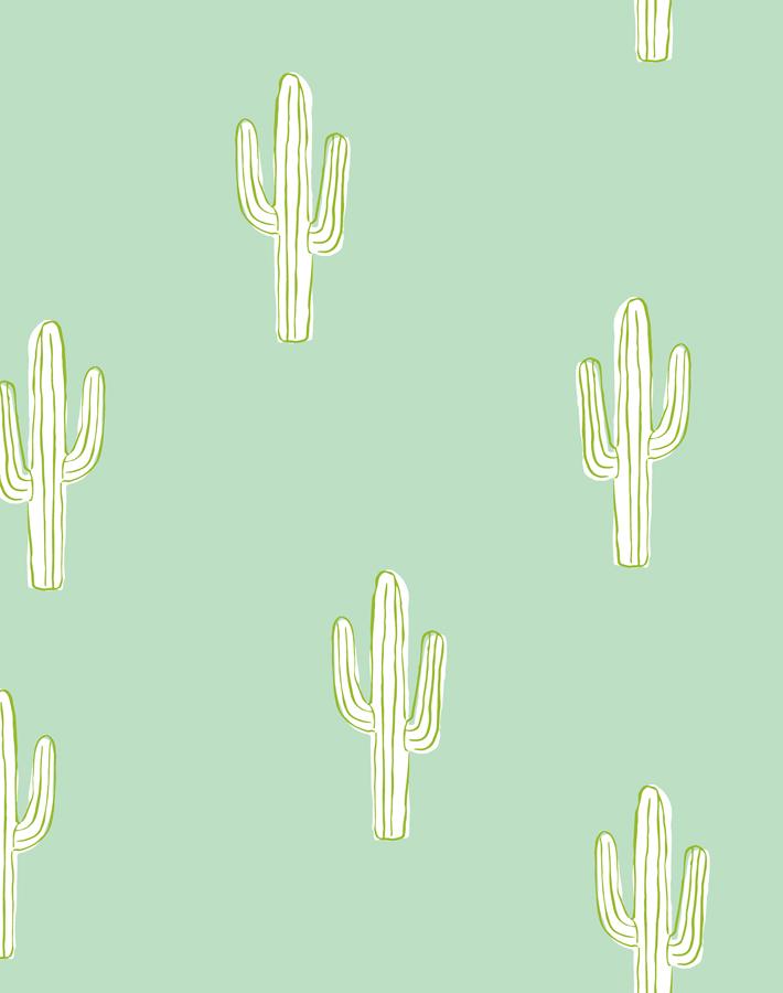 cactus aventurine