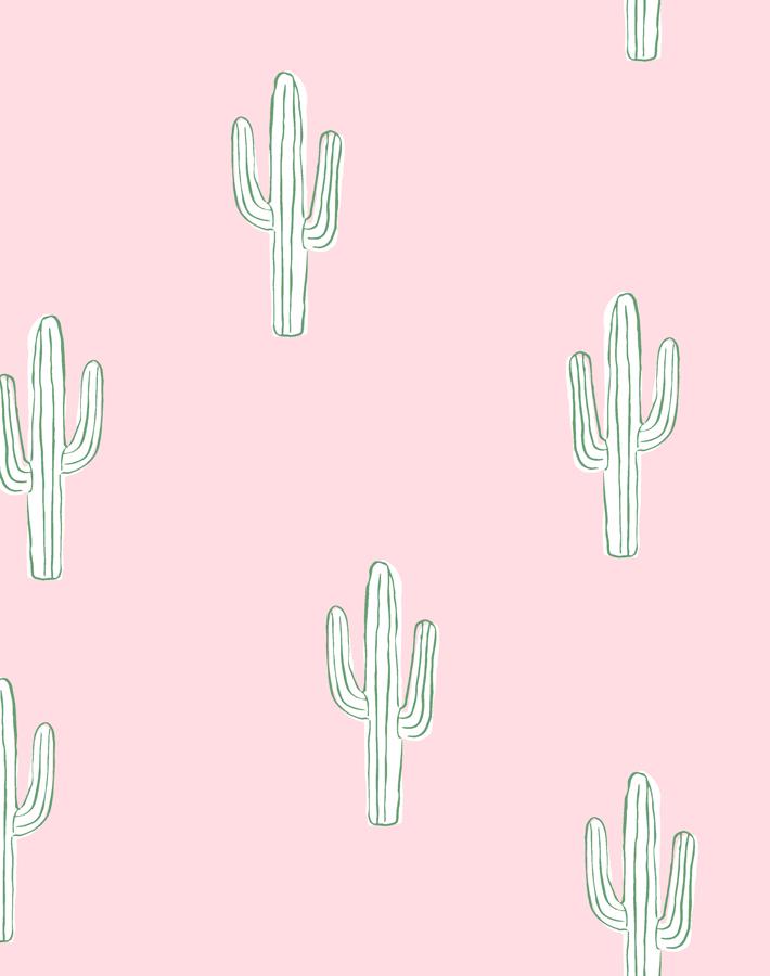 cactus ballet slipper
