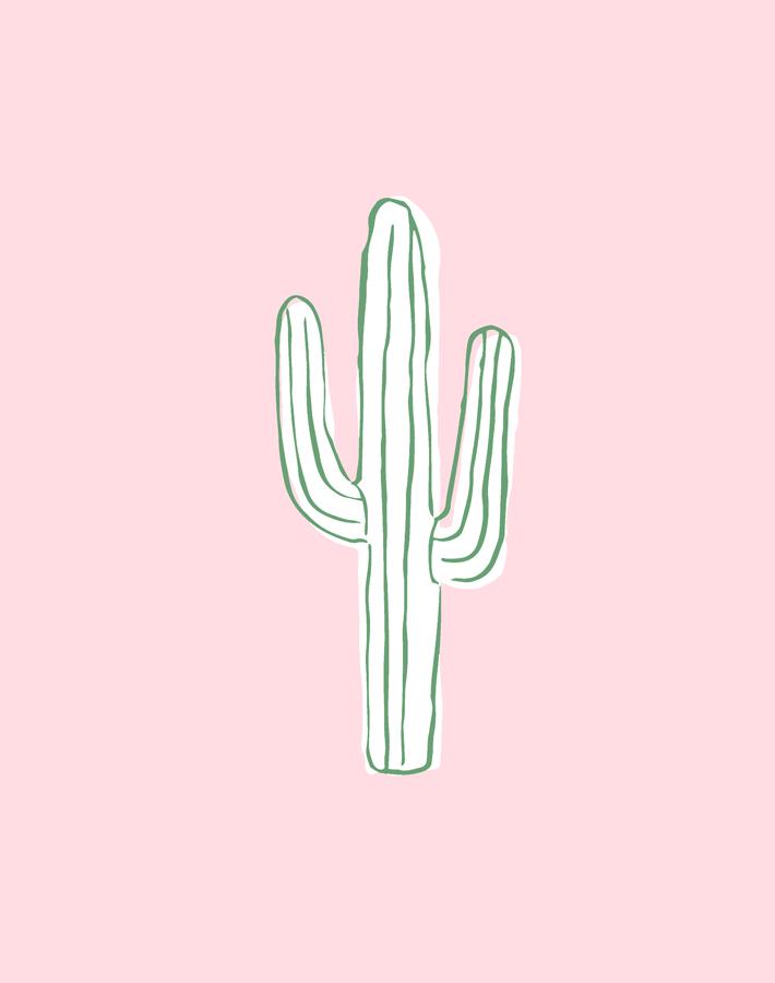 cactus ballet slipper