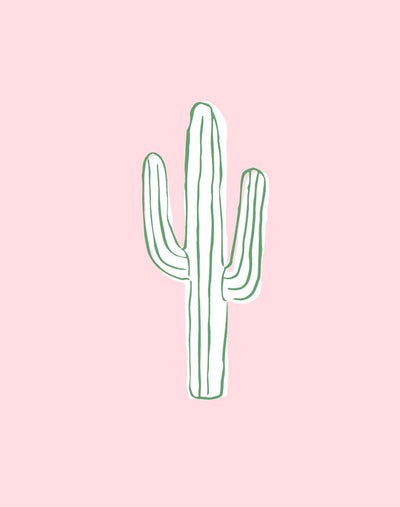 cactus ballet slipper