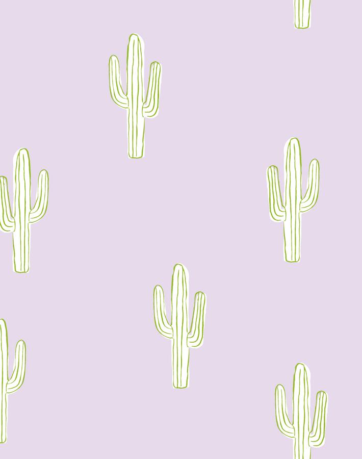 cactus lavender