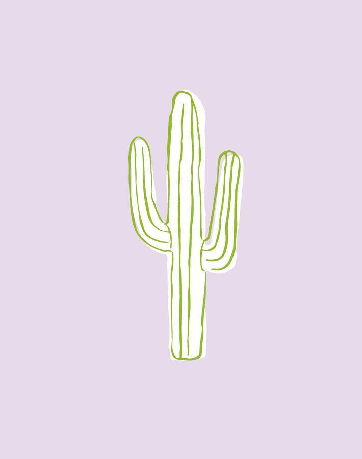 cactus lavender
