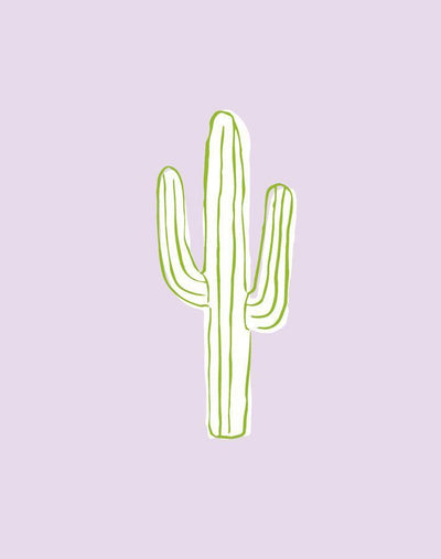 cactus lavender