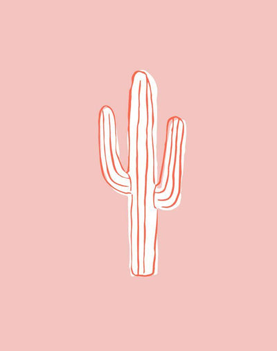 cactus persimmon