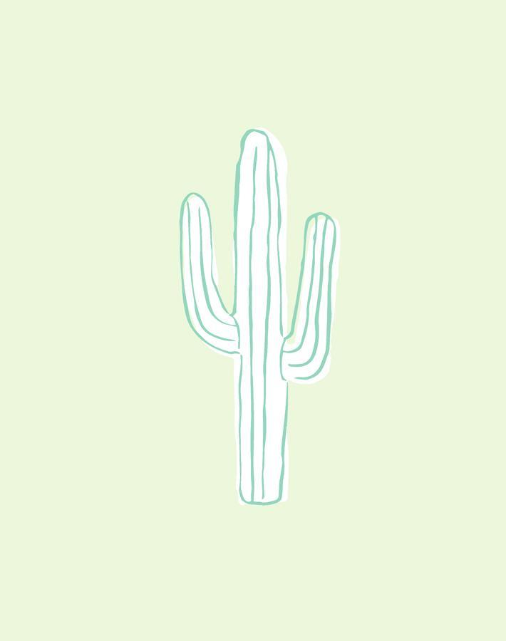 cactus pistachio