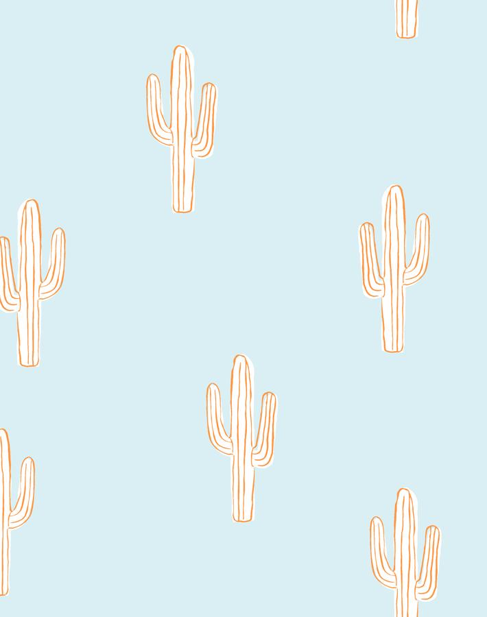 cactus pushpop