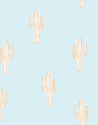 cactus pushpop