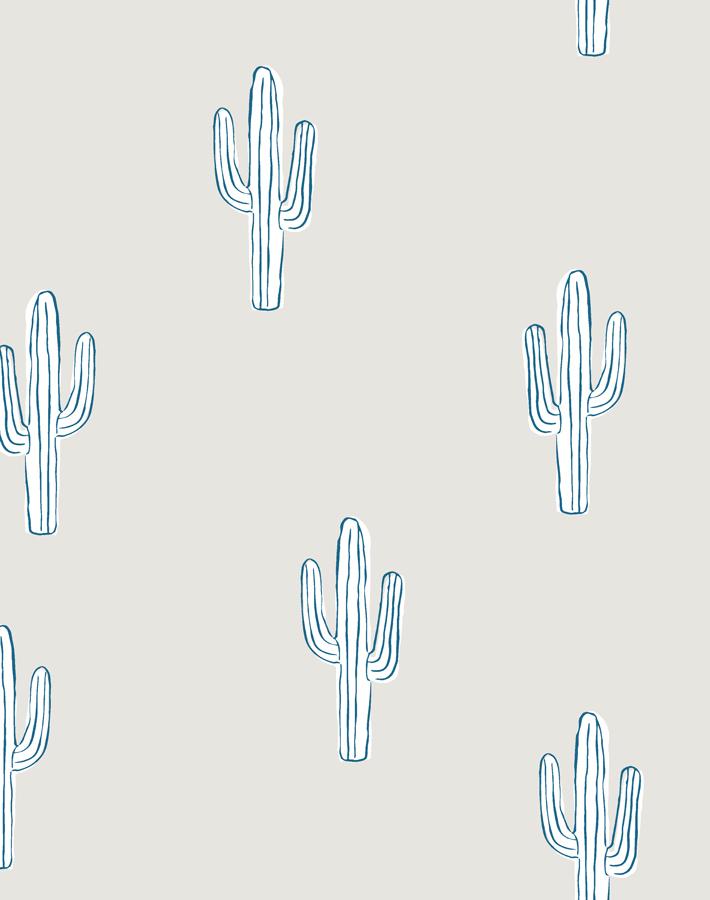 cactus-sand