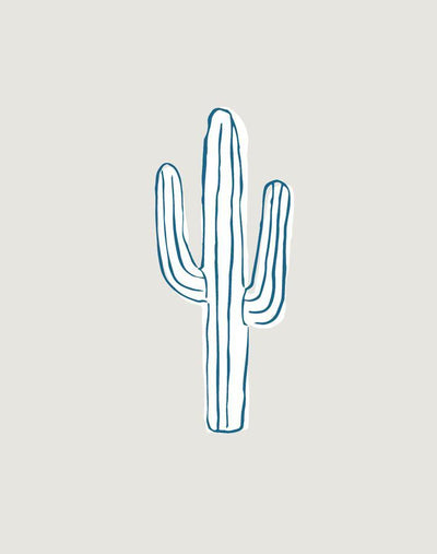 cactus sand