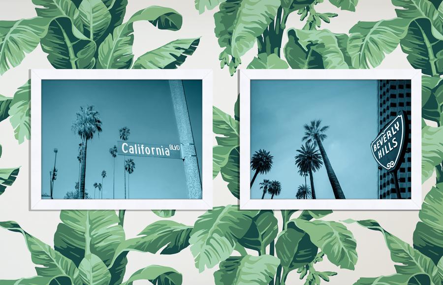 Artshoppe California Blvd by Nathan Turner