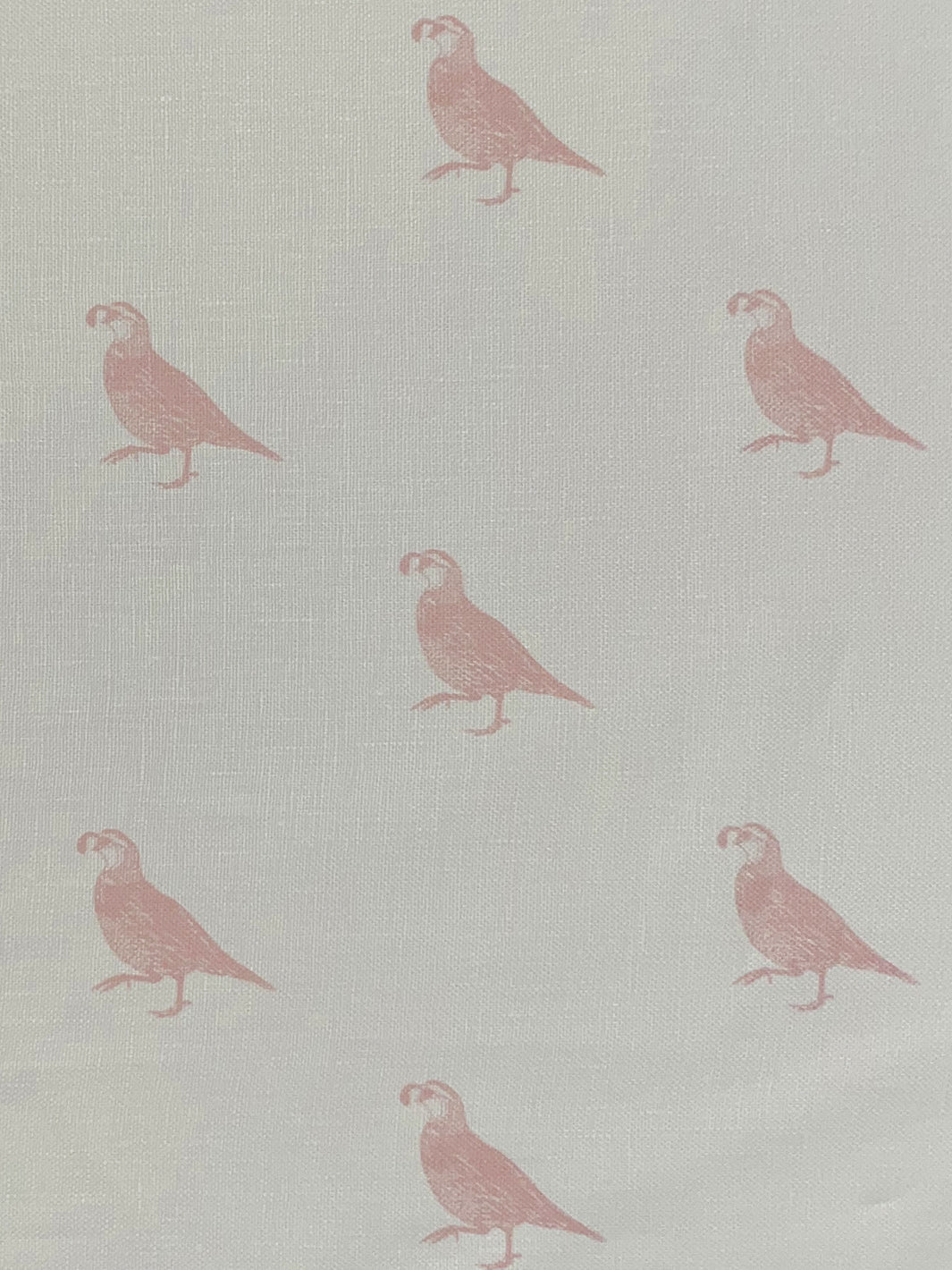 'California Quail' Linen Fabric by Nathan Turner - Pink