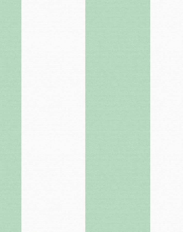 'Candy Stripe' Wallpaper by Wallshoppe - Jade