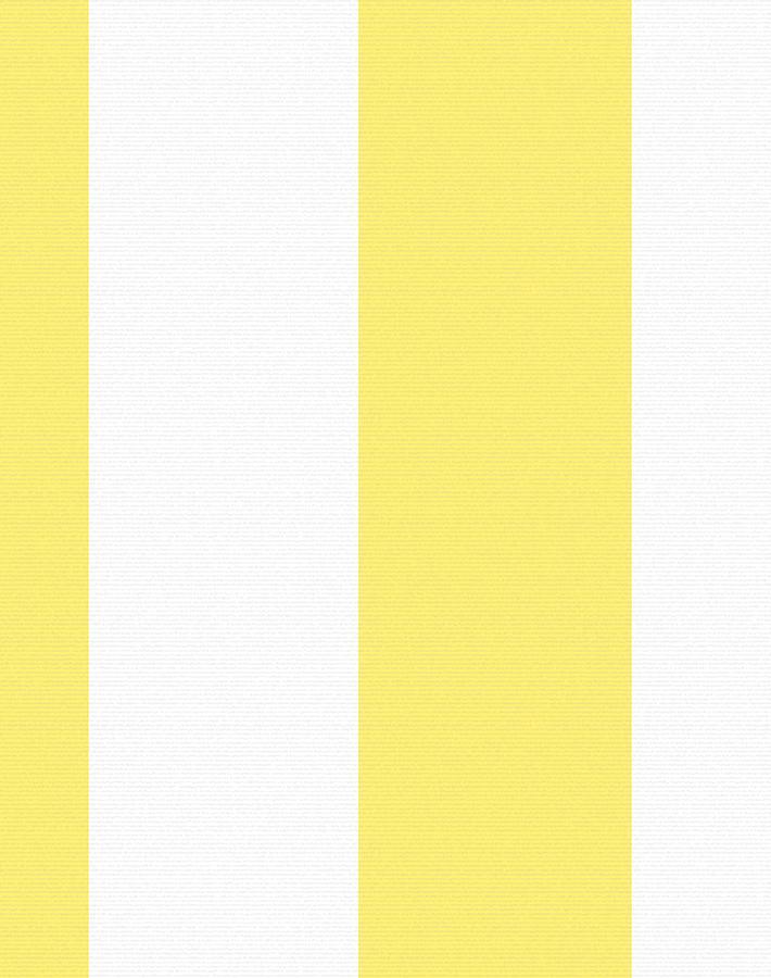 candy-stripe-lemon