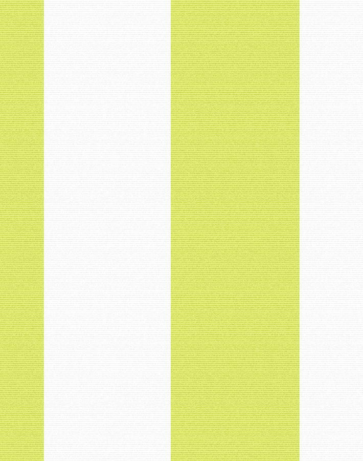 candy stripe lime