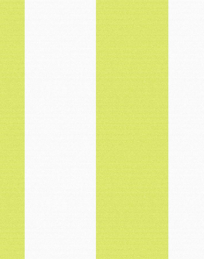 'Candy Stripe' Wallpaper by Wallshoppe - Lime